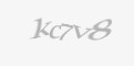Захисний код