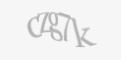 Захисний код