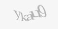 Захисний код